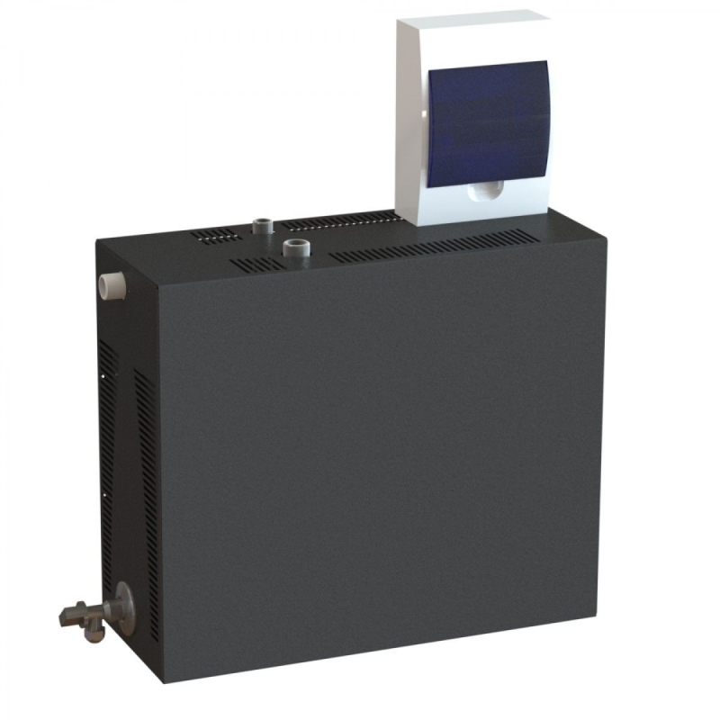 Парогенератор проточный c выносным/встроенным цифровым пультом управления, 6 кВт Парогенератор проточный c выносным/встроенным цифровым пультом управления, 6 кВт